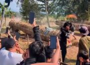 Ledakan Meriam Karbit Guncang Bogor, Ribuan Warga dan Wisatawan Padati Lokasi