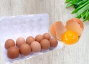 Profesor Gizi Ungkap Manfaat Telur untuk Anak, Ini Cara Memilih dan Menyimpannya