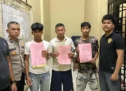 Tiga Pria Ditahan Polisi usai Curi 670 Kg Sawit di Padanglawas
