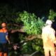 Tewas Akibat Angin Kencang di Surabaya