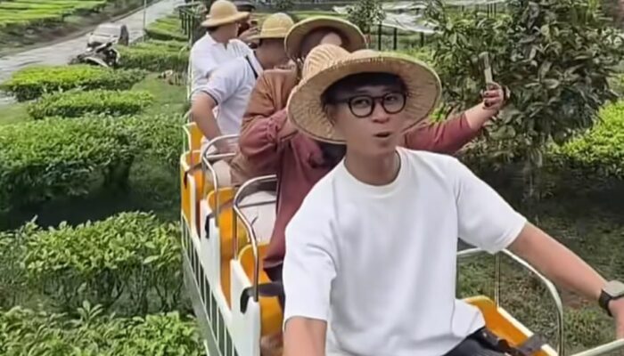 Sensasi Baru Puncak: Menikmati Hamparan Hijau Kebun Teh Gunung Mas dari atas Kereta!