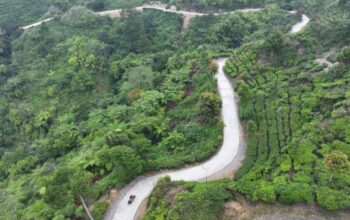 Mirip Puncak Saat Weekend, Nirmala Malasari Kini Jadi Buruan Wisatawan 8 file 1774275806344 e47b461b 371c 4e65 8204 ea9d397fe4d0