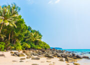 4 Wisata Pantai di Jawa Timur yang Wajib Dikunjungi Saat Libur Lebaran