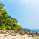 5 Wisata di Jember Terpopuler 2026