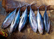 Tips Masak Ikan Tongkol untuk Menu Buka Puasa di Bulan Ramadhan