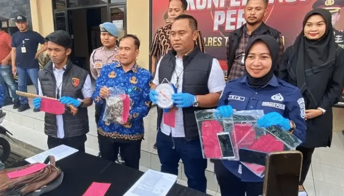 Perdagangan Trenggiling Ilegal Dibongkar di Tasikmalaya, Harga Sisiknya Fantastis!