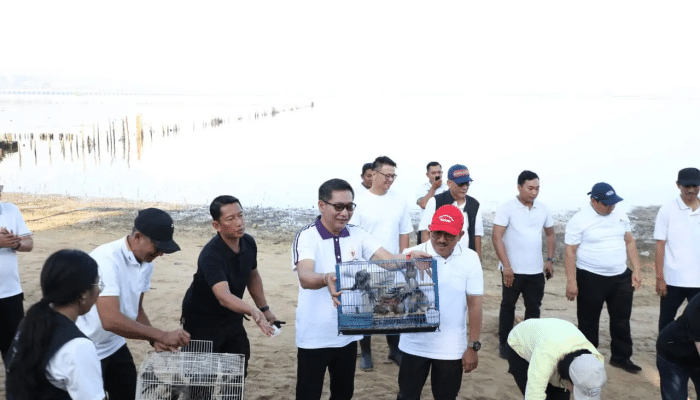 Tanam Mangrove, Lepas Burung: Kolaborasi Lintas Instansi Bali Wujudkan Warisan Hijau untuk Bumi
