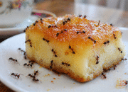 4 Tips Ampuh Agar Makanan Manis Tidak Dikerubungi Semut di Rumah