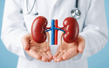 Cara Menjaga Kesehatan Ginjal