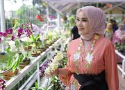 Kebun Anggrek Kartini di Taman Heulang Tawarkan 100 Jenis Anggrek dan Maknanya