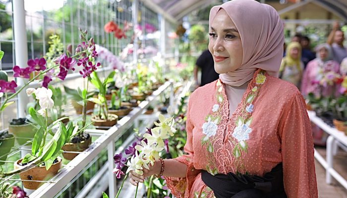 Kebun Anggrek Kartini di Taman Heulang Tawarkan 100 Jenis Anggrek dan Maknanya