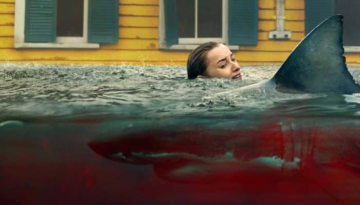 Link Nonton Film Thrash Sub Indo Teror Hiu Ganas, Bukan dari LK21