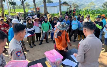 WhatsApp Image 2026 04 09 at 15.29.12