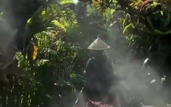 WhatsApp Image 2026 04 16 at 13.38.00