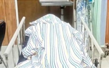 Relawan Penyeberang Jalan di Jember