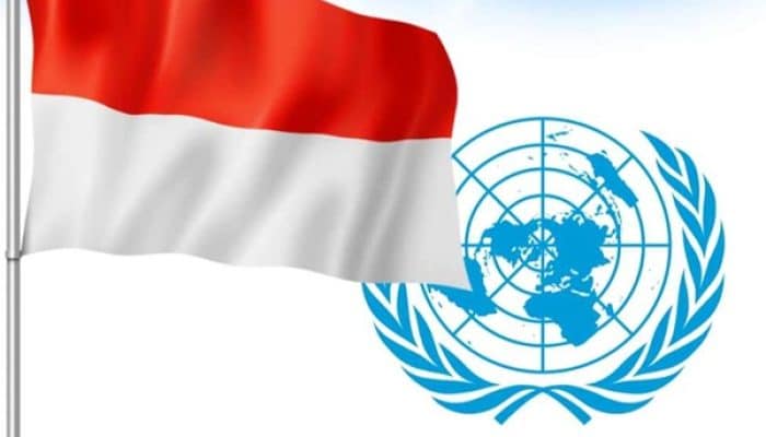 Misi Besar RI! Dukungan Organisasi Negara-negara Afrika, Karibia, dan Pasifik Diburu Demi Kursi DK PBB