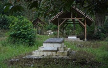 file 1775903291389 IMG 0451