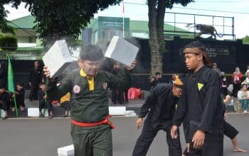 file 1775973333158 67777ead 0340 4a6b a8c6 f07964fc7817