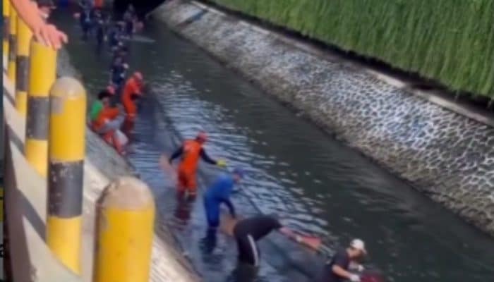 Ikan Hama “Sapu-sapu” di Kali Depan Plaza Indonesia Ditangkap Massal!