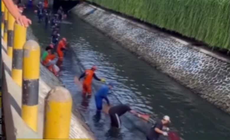 Petugas lakukan penangkapan ikan sapu-sapu di kali depan Plaza Indonesia