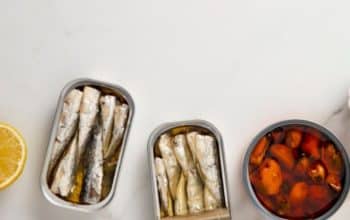 manfaat sarden untuk kulit