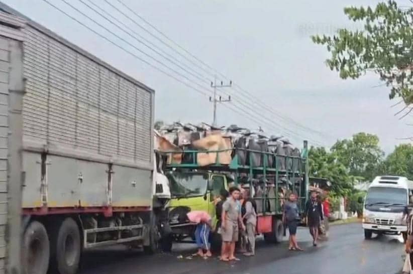 kecelakaan di Pantura