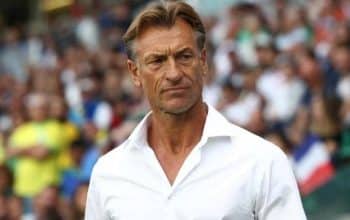 SAFF Pecat Herve Renard