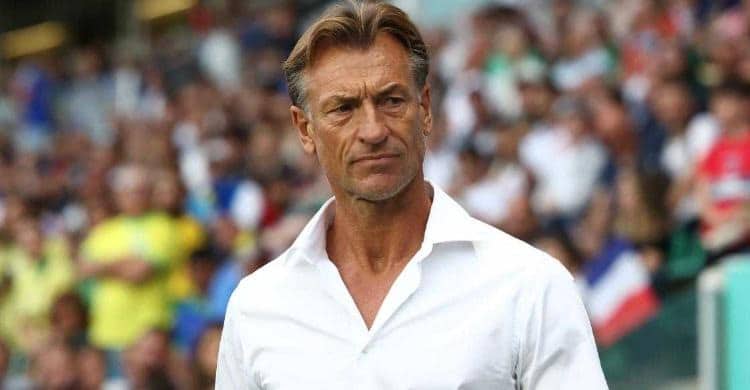 SAFF Pecat Herve Renard