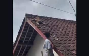 video viral bocil naik atap genteng Lombok Tengah 2026