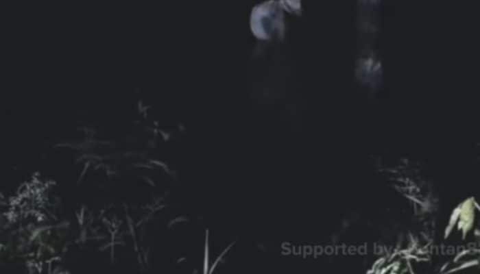 Merinding! Kamera Malam di Alas Purwo Rekam ‘Sosok Misterius’ Muncul dari Tanah, Asli atau Rekayasa?