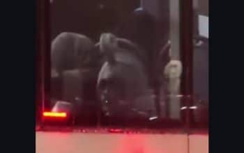 pocong di TransJakarta