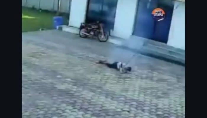 Tragis! Usir Monyet di Atap, Karyawan Hotel Tewas Tersengat Listrik Tegangan Tinggi