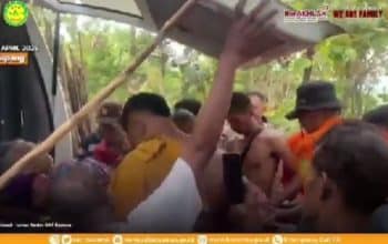 nenek hilang di kebun kupang