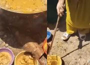 Viral Rebutan Gulai di Hajatan, Tingkah Panitia Disorot Warganet