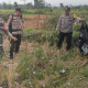 Ledakan Balon Menewaskan Pemuda Blitar dan Dua orang Luka Parah Karena Gagal Terbang