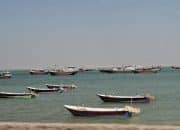 Bukan Speedboat IRGC! Iran Sebut AS Tembaki Dua Kapal Kargo Sipil di Selat Hormuz, 5 Tewas