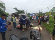 Kecelakaan Maut! Pemotor Tewas Tabrakan dengan Bus Trans Jatim di Gresik saat Hindari Genangan Air