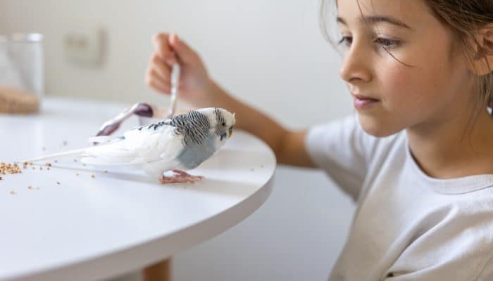 6 Arti Mimpi Burung Masuk Rumah bagi Wanita Menikah Menurut Ibnu Sirin, dari Rezeki hingga Keharmonisan