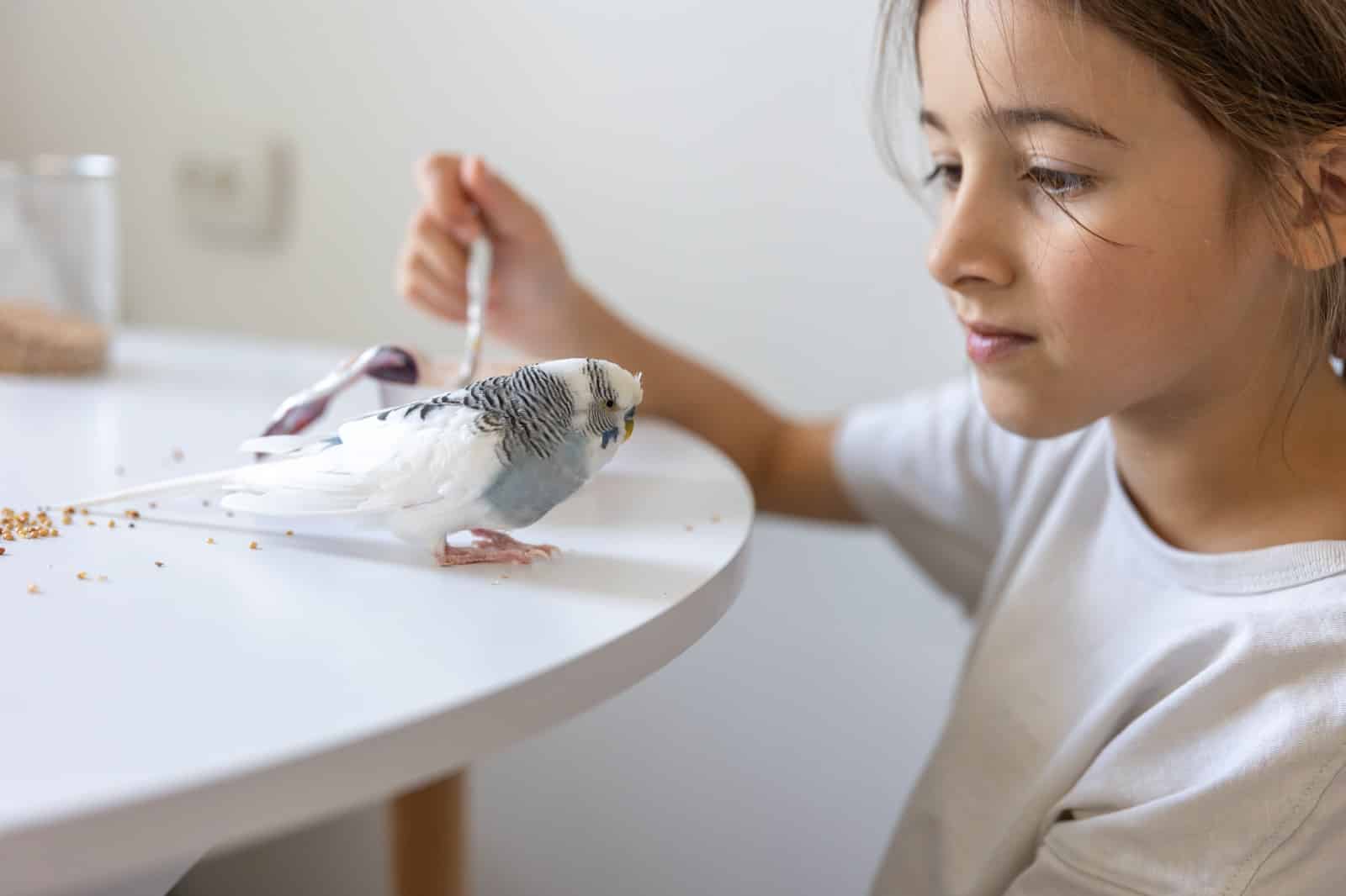 Arti mimpi burung putih
