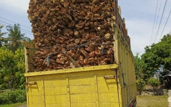 Kecelakaan Maut! Warga Semboro Jember Tewas Tertimpa Tiang Listrik Akibat Truk Overload