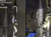 Viral! Aksi Damkar di Tangerang Evakuasi Ular Besar di Tiang Listrik