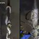 Viral! Aksi Damkar di Tangerang Evakuasi Ular Besar di Tiang Listrik