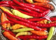 Manfaat Makan Sambal Pedas Bagi Kesehatan Tubuh