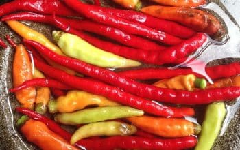 Cabe pedas