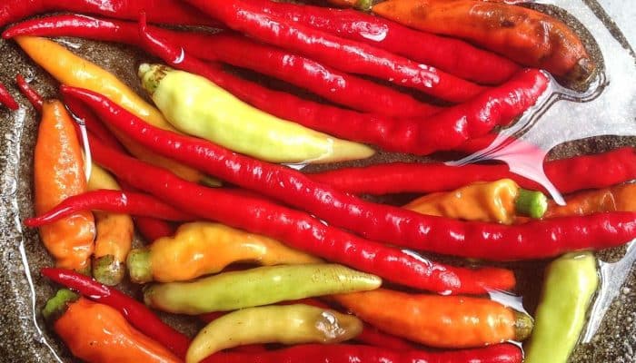 Manfaat Makan Sambal Pedas Bagi Kesehatan Tubuh