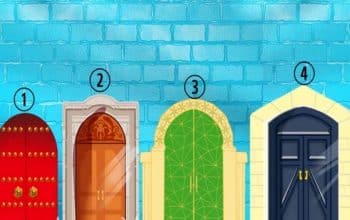 tes kepribadian pintu