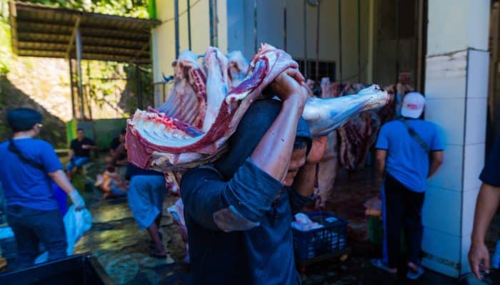 Pemotongan Hewan Kurban di RPH Kota Bogor Meningkat, Biaya Murah Jadi Daya Tarik