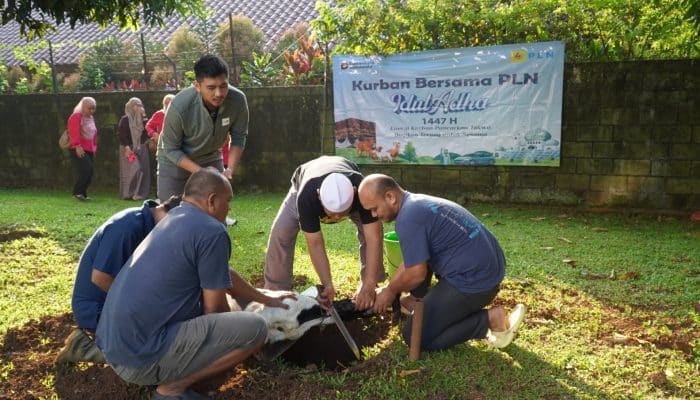 PLN UP3 Bogor Gelar Penyembelihan Hewan Qurban dalam Peringatan Idul Adha 1447 H