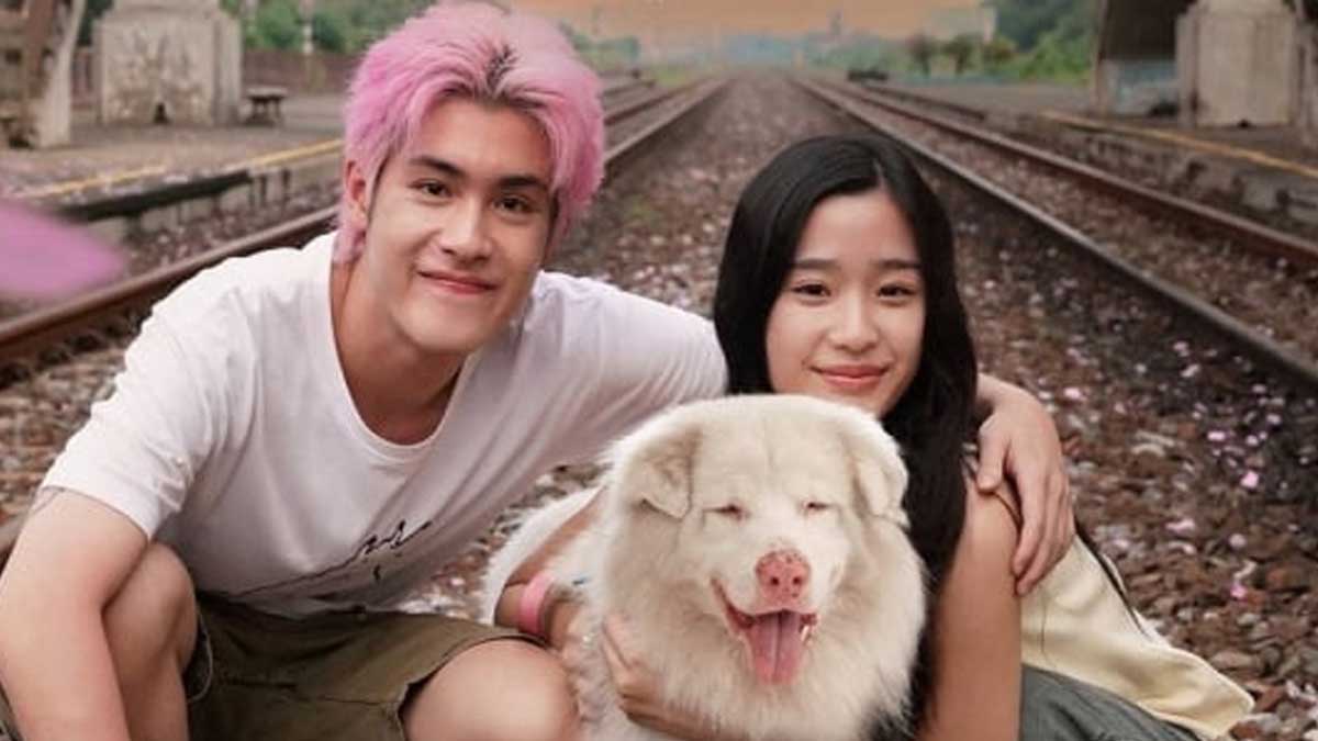 Nonton Film Gohan