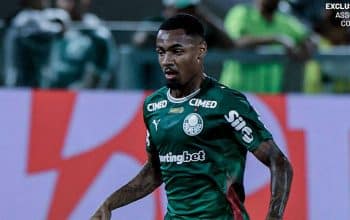 Palmeiras bekuk